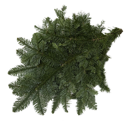 okrasna-klest-svazek-chvoji